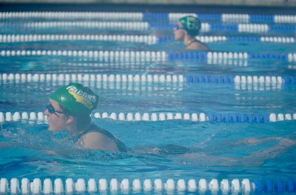 On Saturday, our falcon swimmers put their very best into the competition.