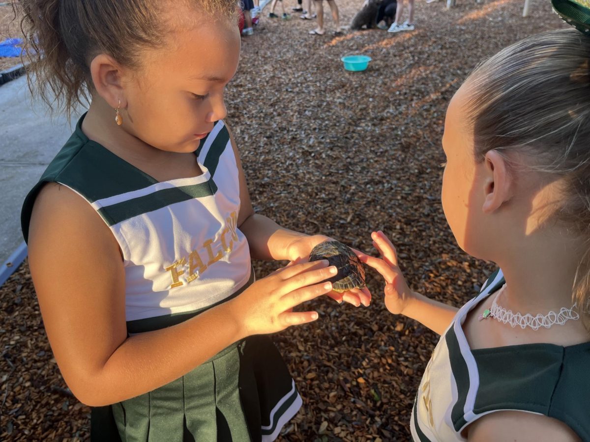 Mini falcon cheerleaders bond by holding a pet turtle.