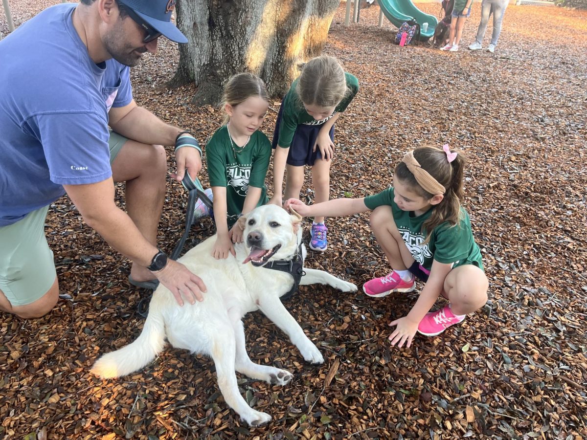 Three classmates enjoy petting a dog together.