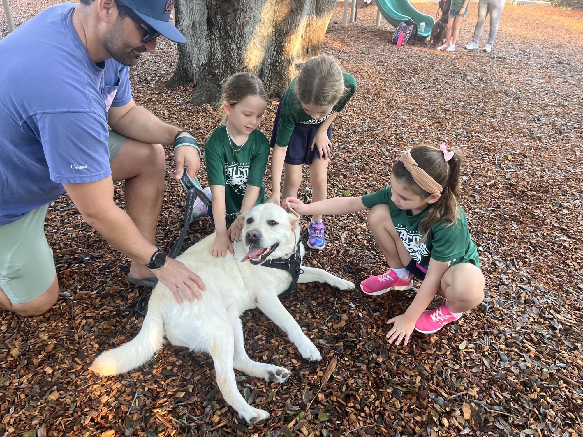 Photo Gallery: Blessing of the Animals