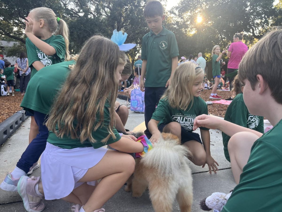 Lower school peers gather around to pet a pomeranian.